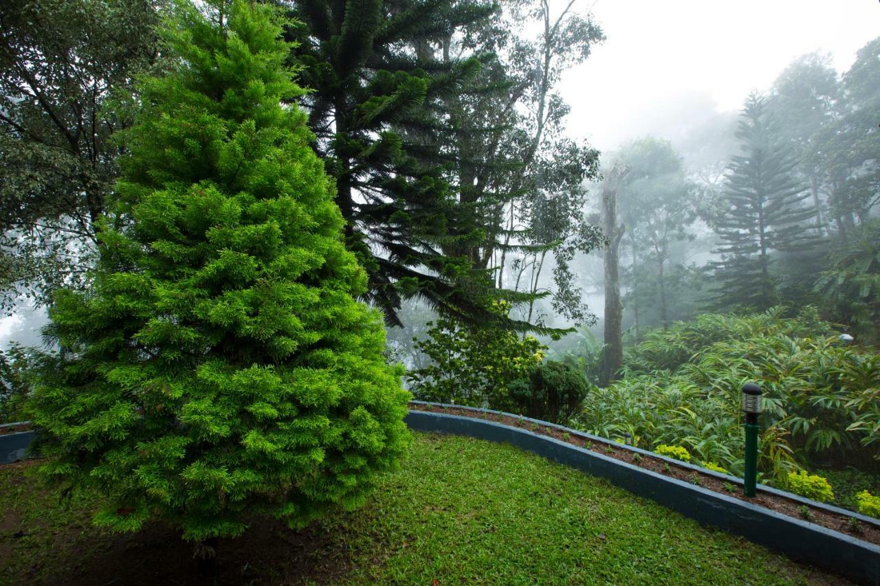 Bracknell Forest Munnar Exteriér fotografie